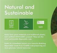 Amazon.com: Lids for Responsible Products 8-24 oz Paper Cups ...