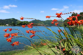 Beste Reisezeit Fur Die Azoren Sao Miguel Im Sommer