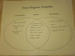 compare contrast charts schoolmarm ohio