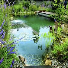 Natural Pool Fill Once Self Cleaning Schwimmteich Bauen Schwimmteich Natur Pool