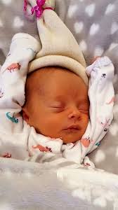 POLITICO Playbook PM: Cohen pleads guilty as Trump scraps Putin meeting