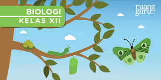 Pertumbuhan Dan Perkembangan Pada Hewan Biologi Kelas 12