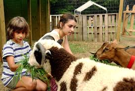Just looking for fun things for kids in tucson. Berkley Petting Zoo Might Not Be A Good Fit Opinion