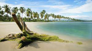 Awesome Nature Wallpapers Hd 1080p Hd Images 3 Hd Nature Wallpapers Best Nature Wallpapers Hd Nature Images