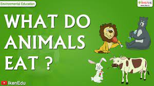 Kids Science What And How Do Animals Eat Science For Kids Animals Food Animals