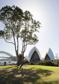 The royal botanic gardens are adjacent to the sydney opera house and framed by beautiful sydney harbour. See Local Sydney Lodges Affordable Accommodation Sydney