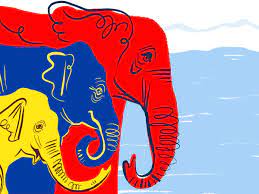 What Can I Do To Help Elephants?' | Wildlife | The Guardian