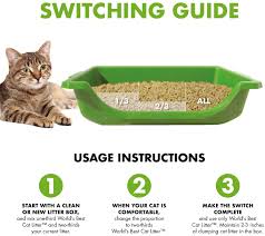 How often should you change your cats litter. Worlds Best Cat Litter Biologisch Abbaubar 6 35 Kg Amazon De Haustier