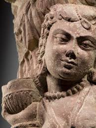 Hindu Rope plant mounted