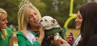 Autumn 2013 Meet your new favorite Wonder Boy: Jerry returns as campus  ambassador. Pages 10-11.