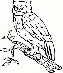 Kumpulan mewarnai gambar poli via gambarcoloring.website. Mewarnai Gambar Burung Kreasi Warna
