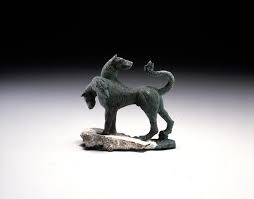 Image result for Atractus cerberus