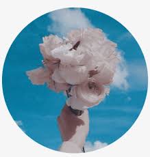White aesthetic tumblr png images background ,and download free photo png stock pictures and transparent background with high quality; Whiterose Bluesky Aesthetic Background Tumblr Roundobje Peony 1024x1024 Png Download Pngkit
