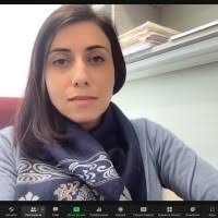 100+ "Rafizadeh" profiles