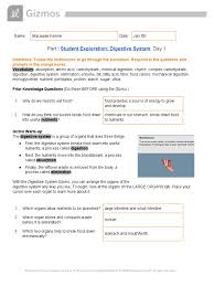 Student exploration for gizmo answer key chemical equations. Copy Of Gizmo Digestive Chemical Changes And Muscle And Bone Student Guide Arm Digestion