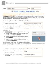 Explore this question by observing and measuring a variety of chemical reactions. Copy Of Gizmo Digestive Chemical Changes And Muscle And Bone Student Guide Arm Digestion