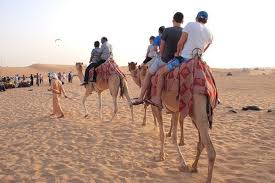 When it comes to the beautiful desert of arabic men are professionals in camel riding. Morning Desert Safari Tour With Camel Riding In Dubai