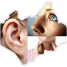 You scored %%score%% out of %%total%%. When Should I Visit An Ear Nose And Throat Specialist