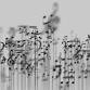 Mesmerizing Melodies