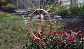 Maybe you would like to learn more about one of these? Best Lawn Sprinkler Oscillating Rotary Stationary Or Traveling Types Epic Gardening