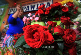Tanaman mawar adalah grup tumbuhan berbiji dengan batangnya berkayu, mempunyai susunan yang tumbuhan unik , bunga mawar termasuk tumbuhan dikotil dan mempunyai kar tunggang. Foto Valentine Day Menata Bunga Mawar Segar