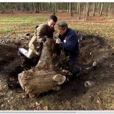 How to get rid of tree trunks. How To Remove A Tree Stump Video Instructions This Old House