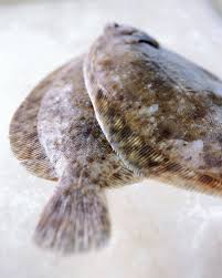 Poisson sole sont allongées, les poissons plats, car ils vivent principalement sur le fond de habituellement, la partie supérieure du poisson est de couleur foncée et la partie inférieure est la. Sole 15 Recettes Faciles Filet Roulee Au Four Regal