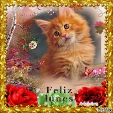 feliz lunes - GIF animado gratis - PicMix
