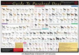 Dog Breeds Chart With Photos Best Dogs 2018
