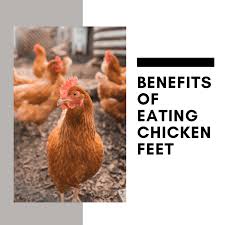 You can add more if you want and test taste it while cooking. Are There Any Benefits In Eating Chicken Feet Delishably