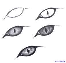 Image Result For Cool Easy Drawings For Kids Step By Step Cat Eyes Drawing Dragon Eye Drawing Realistic Drawings