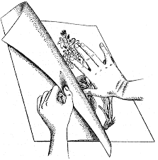 Maybe you would like to learn more about one of these? Http Www Biologie Uni Ulm De Lehre Bestueb Herbariumss07 Pdf