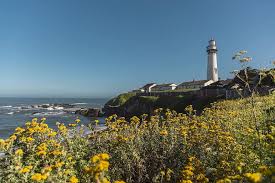 Check out this fantastic collection of pacific northwest landscape wallpapers, with 68 pacific northwest landscape background images for your desktop, phone or tablet. Pacific Ocean Nature Flowers Lighthouse Scenery Calm Sky Blue Coast Landscape Pikist
