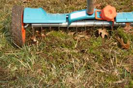 But you need to know if you should dethatch or aerate before overseeding. How To Aerate Amp When To Dethatch Your Lawn Diy True Value Projects
