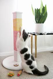 Colorblocked Scratching Post Diy A Beautiful Mess Diy Cat Scratcher Cute Diy Projects Diy Stuffed Animals