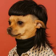 Donald the Duck😂 created by 🎨@hybridportraits Follow:@hybridportraits  Follow:@aicanvasgallery #donald #duck #thehybrids #thehybridportraits #ai  #hybrids #aifashion #aiart #aiartwork #midjourney #krea #leiapix  #generativeart #digitalart ...