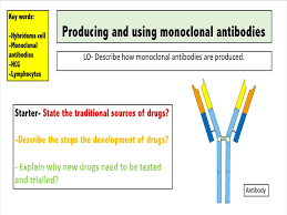 monoclonal antibodies