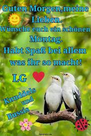 Hier findet ihr die beste sammlung von guten morgen bildern. Montag Bilder Fur Whatsapp Gb Bilder Gb Pics Gastebuchbilder Guten Morgen Montag Guten Morgen Lustig Guten Morgen Liebe Spruche
