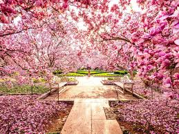 Horoskopi i dates 1 prill 2025