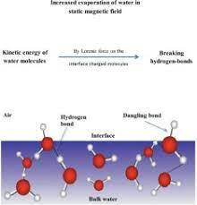 Increase In Water Evaporation Rate With Increase In Static Magnetic Field  Perpendicular To Water-Air Interface - Sciencedirect
