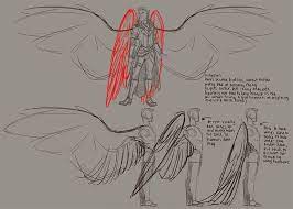 Crow wing county is a county in the east central part of the u.s. Wings Drawing Art Reference Poses Drawings