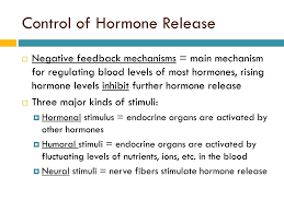 Ppt The Endocrine System Powerpoint Presentation Free Download Id 3105349