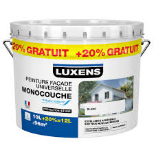 Prix peinture mur exterieur maison. Peinture Mur Exterieur Ton Pierre Au Meilleur Prix Leroy Merlin