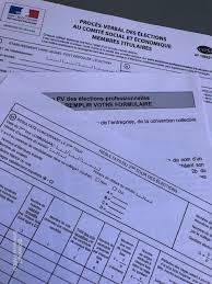 À tout moment vous pourrez supprimer et modifier tout ou partie des informations fournies. Elections Au Comite Social Et Economique Cse Avocat Nice