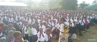 Profili për Anna Elizabeth Foundation