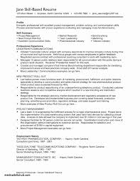 70 Luxury Photography Of It Resume Qualifications Examples