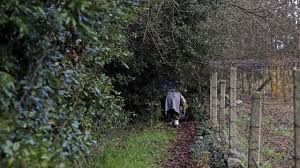 Resultado de imagen de maleza