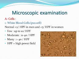 Lab 304 Lecture 9 Learning Objectives To Recognize