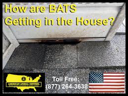 Instructions on chimney cap installation. Kentucky Louisville Animal Removal American Animal Control Llc