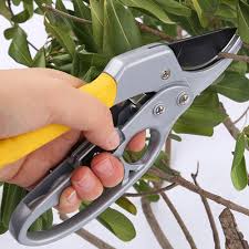 You just have to get a shear or scissor sharpener. Hand Held Pruning Shears Garden Forest Plant Shears Garden Pruning Tools For Pruning Small Branches With A Diameter Of 26 Mm Pruning Tools Aliexpress